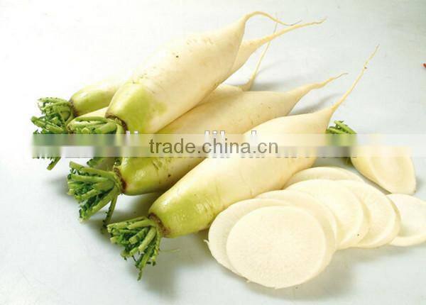 Sweet potato starch making line cleaning machine/potato peeling machine