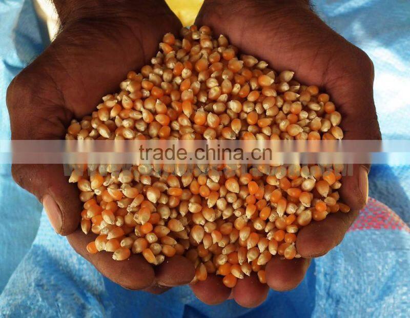 Density Separation Table for Paddy