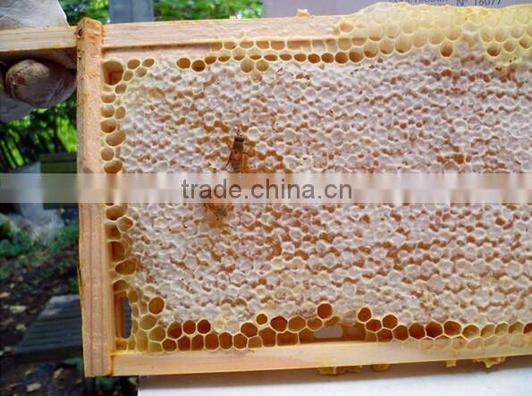 Pure beeswax foundation for apiculture use