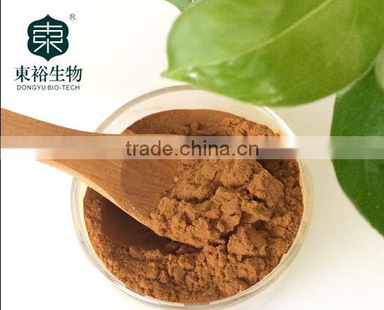 Best Quality and Competitive Price 100% Pure and Natural Organic green tea extract50%-98%