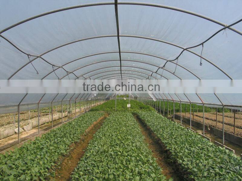 greenhouse for horticultural greenhouse for vegetable green houses material
