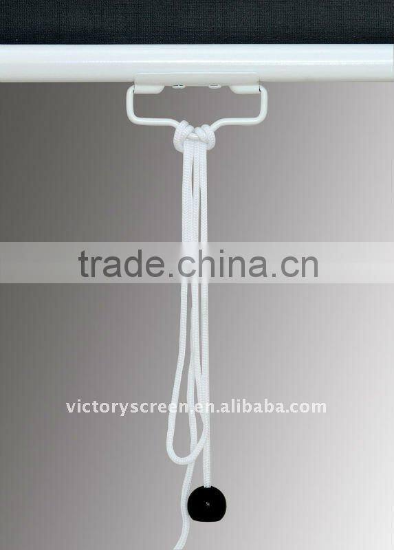 VICTORY Manual Wall mounted matte white screen