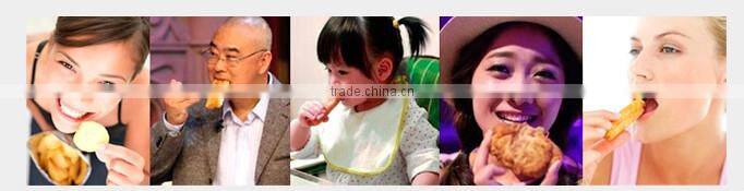 Stainless Steel electric industrial fryer vacuum fryer