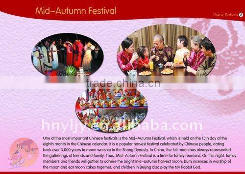 educational instrument,chinese culture wall chart,chinese festival for foreigners knowing about China