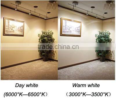 CE/RoHS approved MR16 LED Spot light