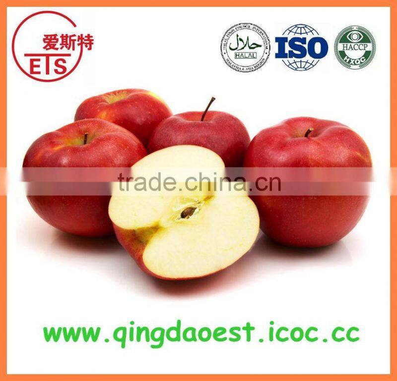 Red skin pure good quality peanut kernel with high quality