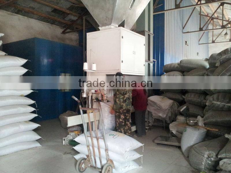 Hot sell chinese sunflower seeds 5009,5135, 20/64,22/64,24/64