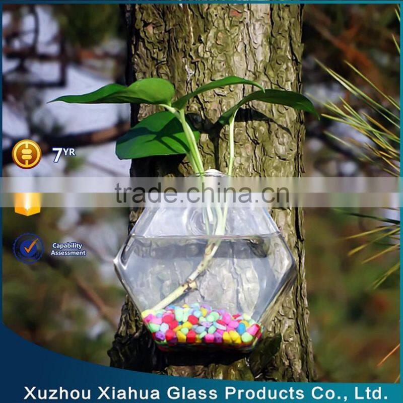 hexagon hanging glass terrarium