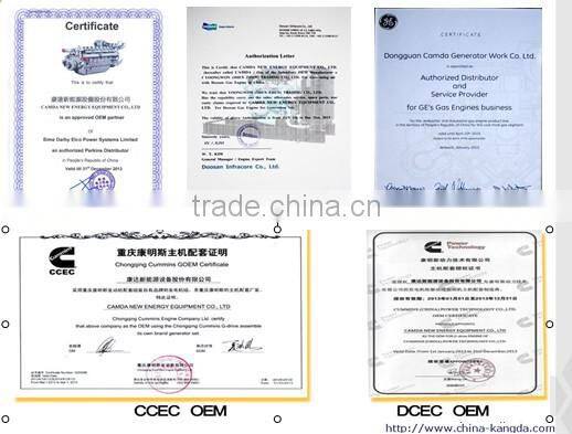 Camda biogas pre-treatment sysem/Biogas scrubber/biogas purify/de-sulfur