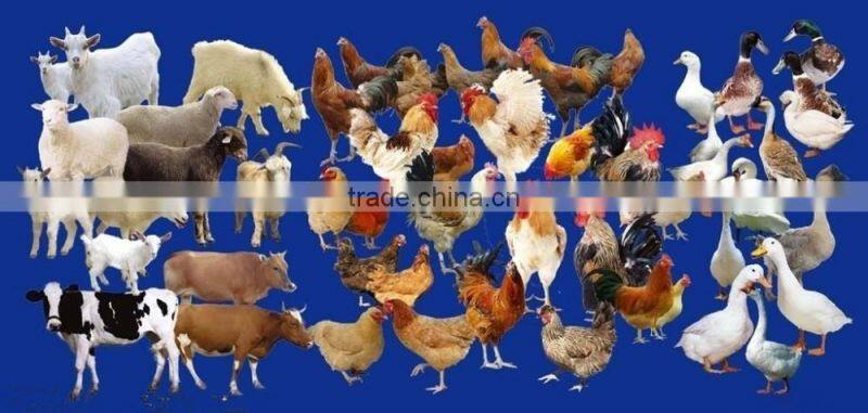 Customize Water Soluble Sodium Humate Powder feed and fertilizer