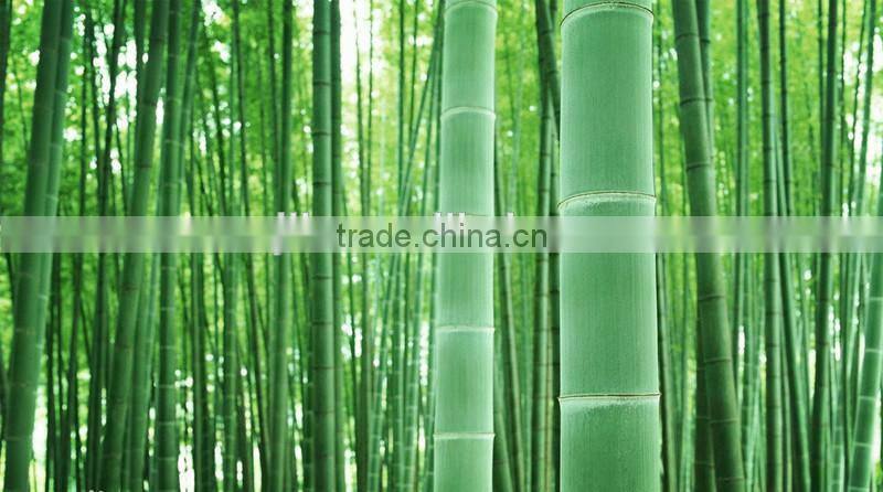 Chinese bamboo hand fan wholesale for business gift