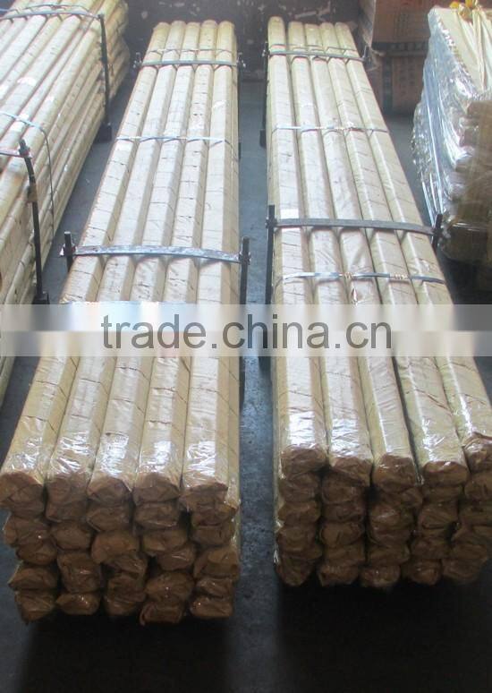 Hot dip Galvanized Ground Rod/Earth Rod for Power Line Fitting