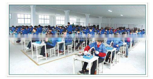 hub motor electric scooter, Low noise and high reliability electric scooter motor, electric motors for mobility scooter, AMTHI