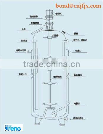 Fermentor/beer fermenter/fermentation