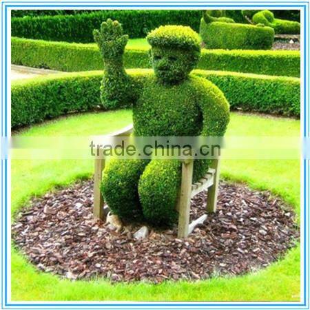 New design of customized artificial topiary topiary frame peacock