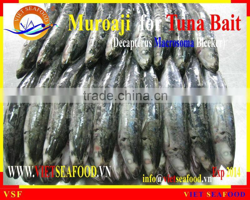 MUROAJI FOR TUNA BAIT