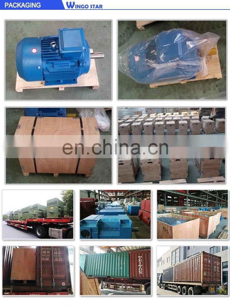 adjustable-speed motor 80kw