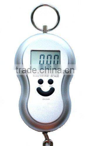 Potable Electronic Scale with Built in Thermometer For Travel /Hanging Luggage/ Fishing Hook / Pocket Food Diet