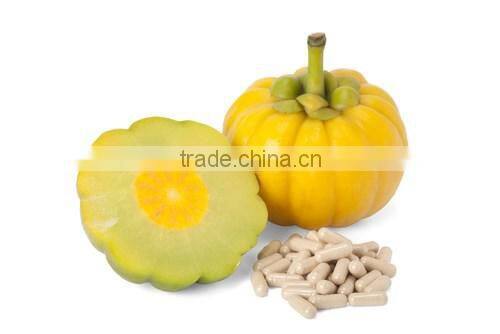 Pure Garcinia Cambogia Extract Powder