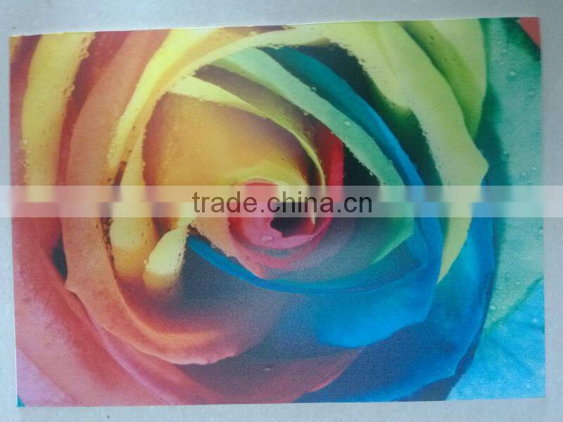 ECO front print backlit film digital printing machine roll to roll printer