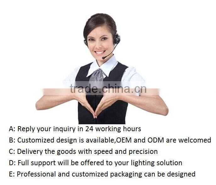 24w high lumen pc diffused led light fitting