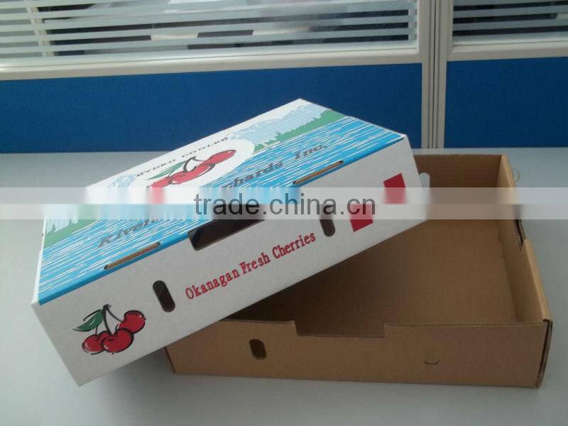 Custom duplex carton box kraft paper