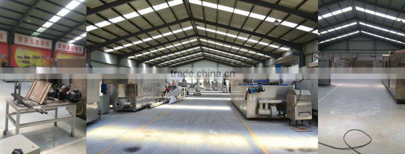 3d pellet fried snacks processing line machine