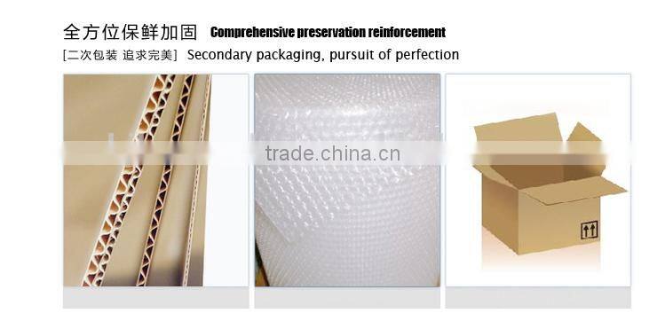 Chinese natural black tea bag, good taste and hot sale