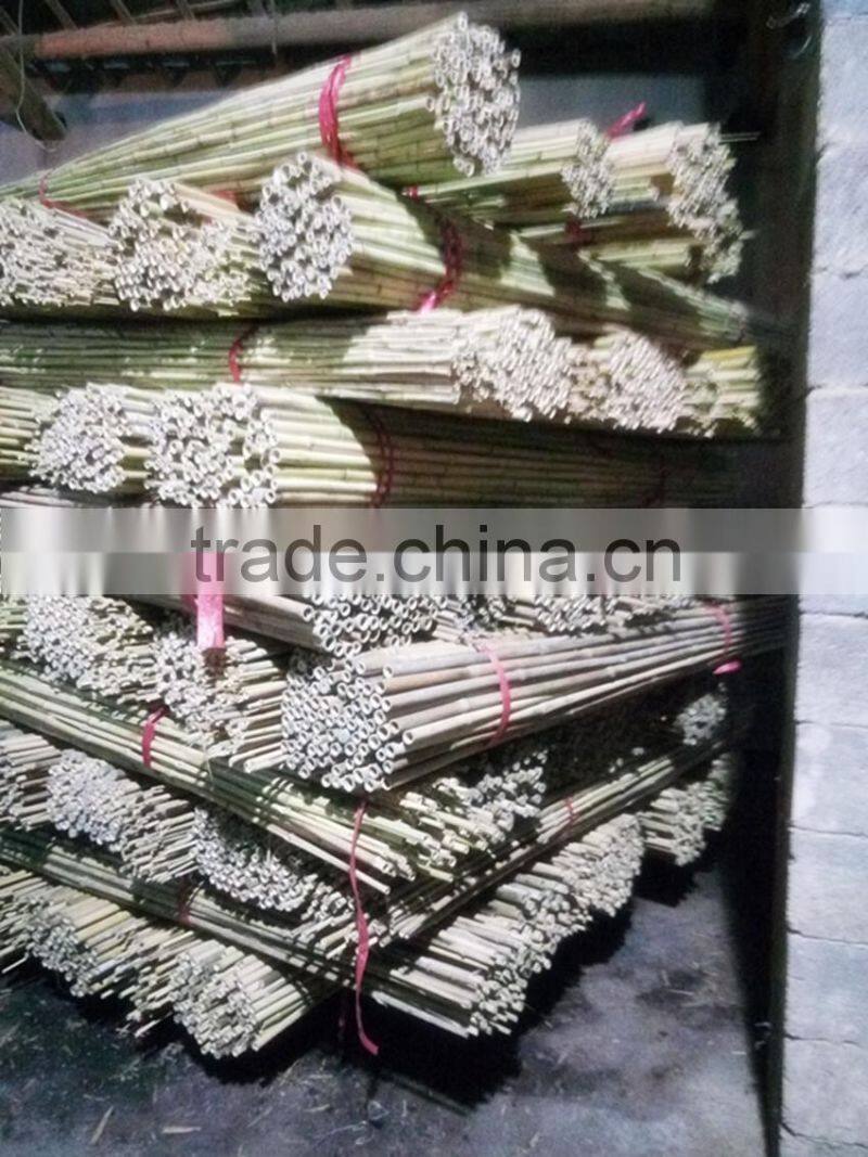 wy-z010 bamboo stick stake natural / dyed color for agriculture and horticulture