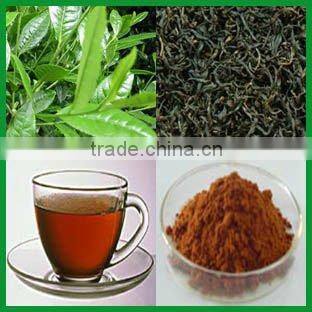 Instant black Tea Extract Powder