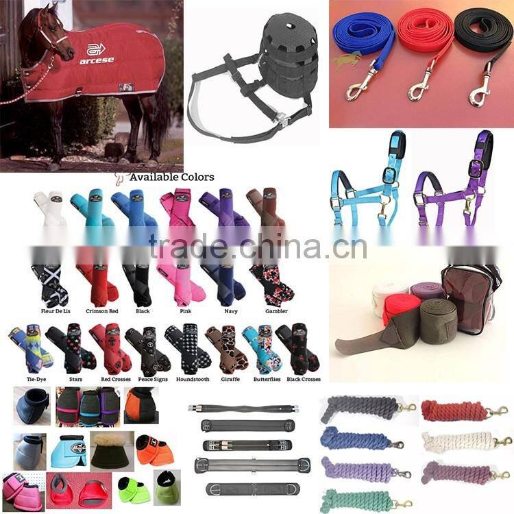 Horse equipment horse racing bridle