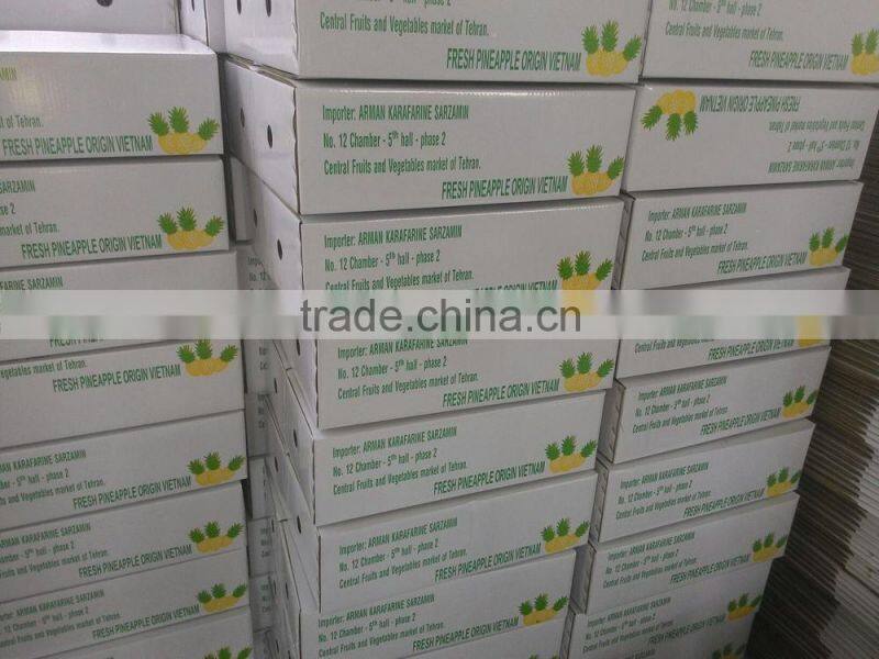 Fresh sweet Pineapple with best price from Vietnam