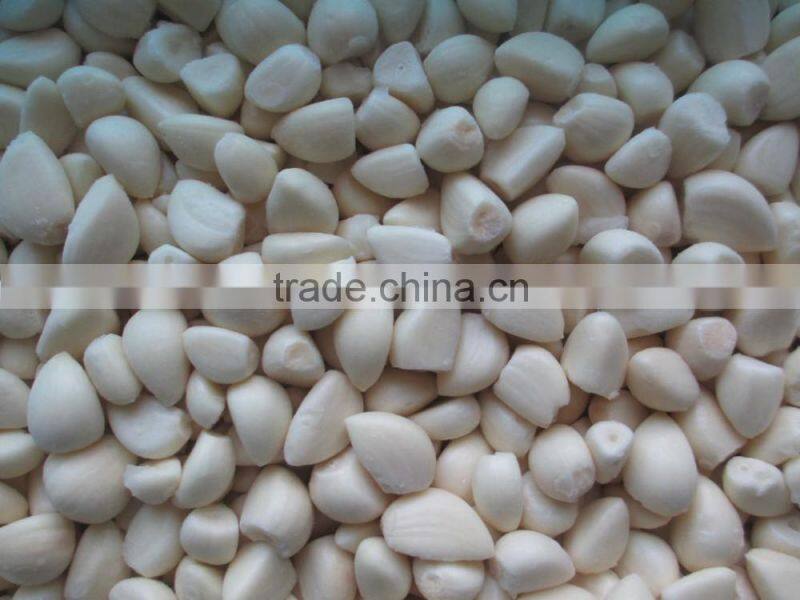IQF Peeled Garlic