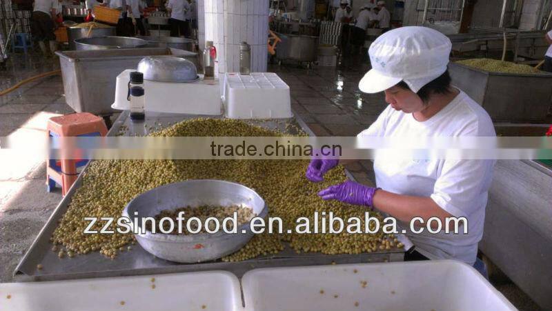 Canned Vegetable Canned Chick Peas in Brine