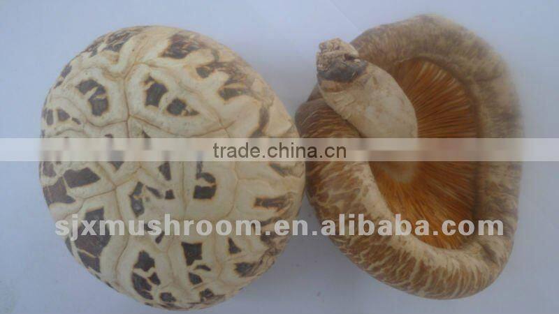 Dried Shiiitake Mushroom(with white flower)