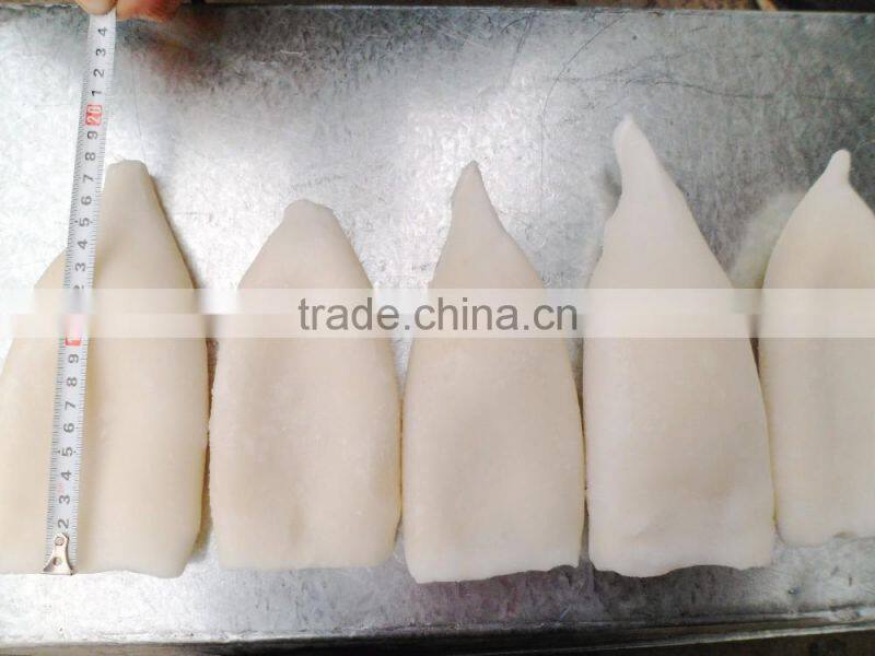 IQF squid tube Todarodes Pacificus