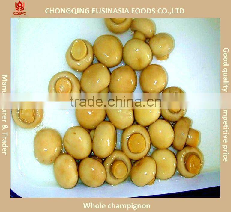 Canned whole button mushroom, mushroom champignon