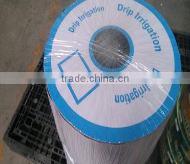 Linear type double line drip tape for drip irrigation system