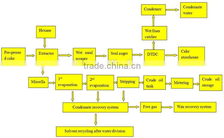 100TPD Dinter rapeseed oil press expeller factory