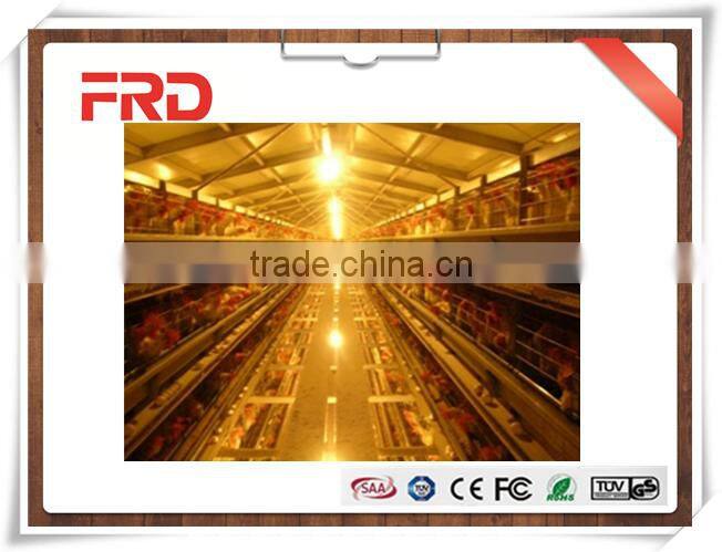 FRD Automatic broiler battery chicken cage system/small chicken cage/big farm layer cage