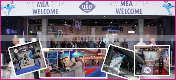 complete pig slaughter machine Pig Sliding Chute butchery equipment of pig slaughter house