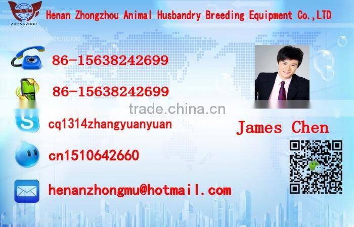 Zhongzhou automatic poultry battery chicken cage for Africa