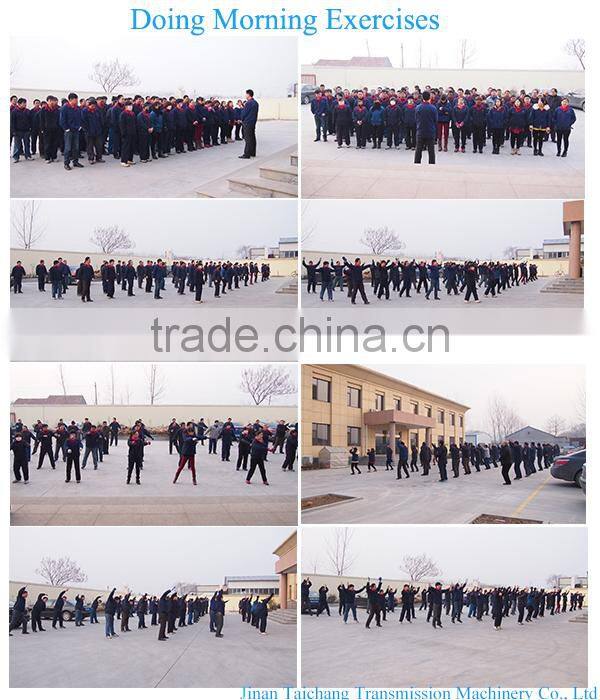 Electric motor 90-110kw 4-6 ton per hour capacit corn waste crude fibre multi-function hammer mill machinery maker