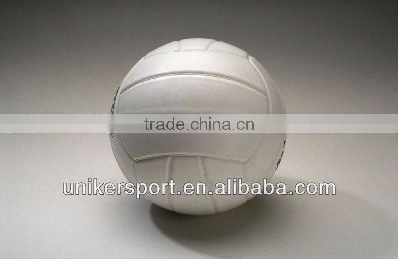 2016 OEM Professional Volleyball