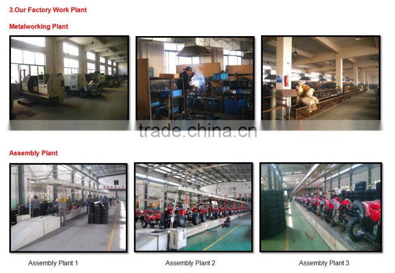 Jinling 300cc UTV quad bike foe sale