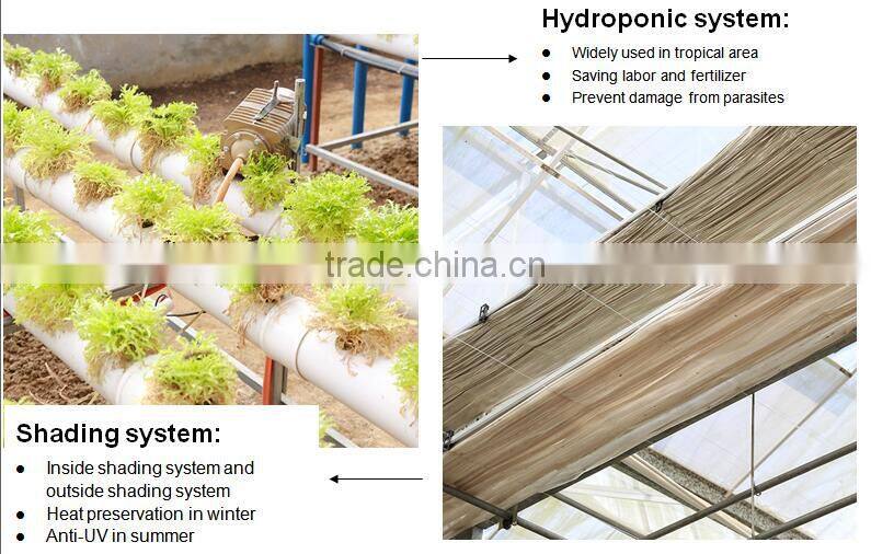 Liberty Park Greenhouse Glass Greenhouse for Sale