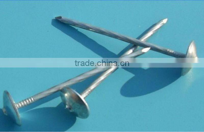 Cheap Raw Material Wire Nails for Construction for sale