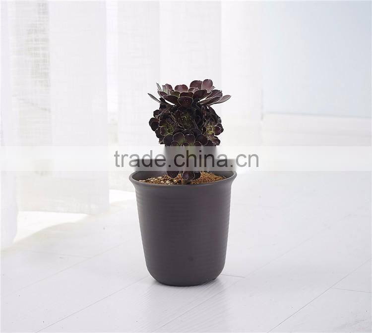 Plastic Round Resin succulent Plant Pot/Cactus Plant Pot Flower Pot