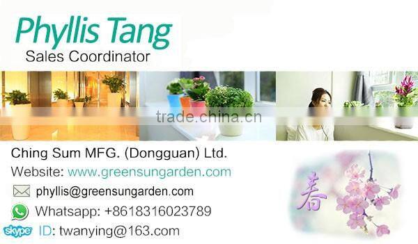 indoor vertical growing green wall system garden wall planter