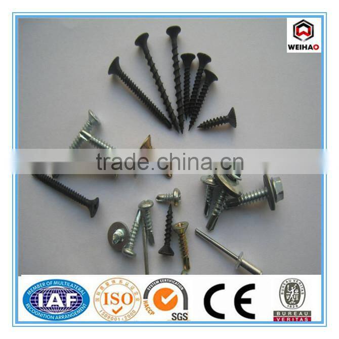 stainless steel pan head self tapping screw